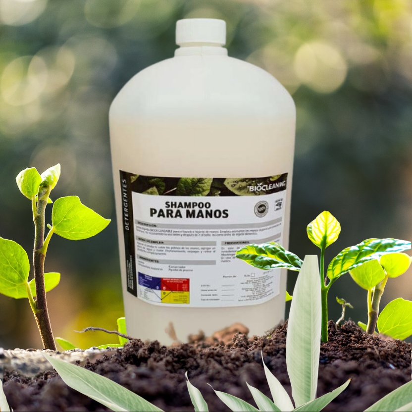 SHAMPOO-MANOS